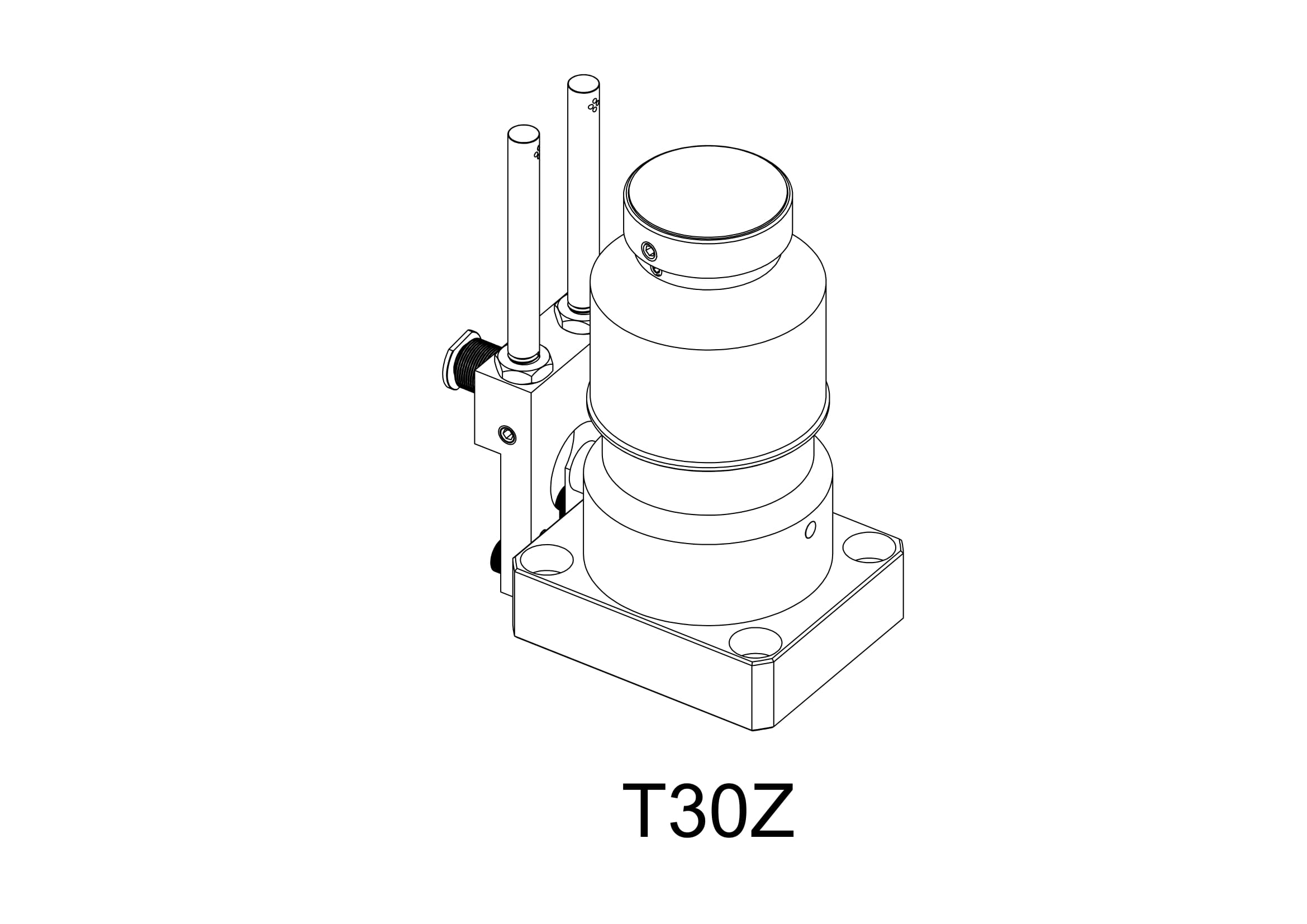 T30Z